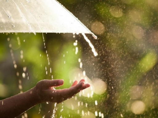 Початок нового тижня в Сумах може бути дощовим